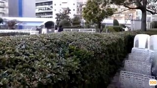 放学后来到这里被大叔玩弄着…。圆井萌华